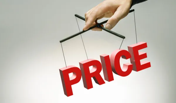 Pristine Amore Price and Payment Plan
